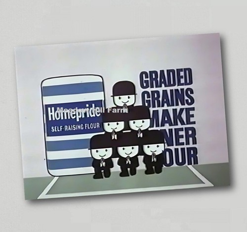 Fridge magnet homepride flour - magnet,