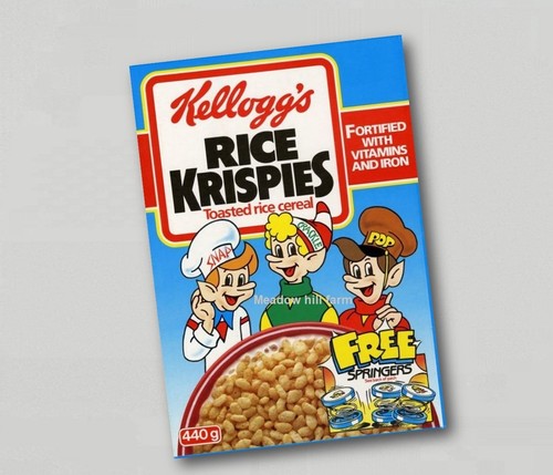 Fridge magnet kelloggs - kelloggs, rice