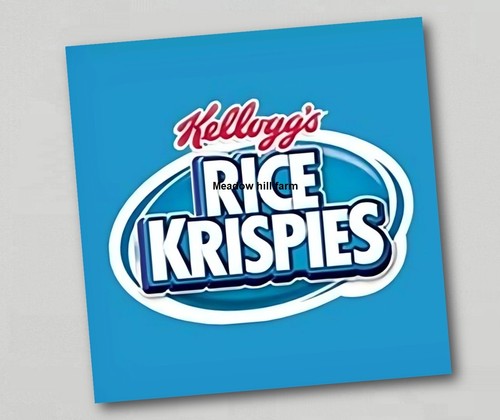 Fridge magnet kelloggs rice - fridge,